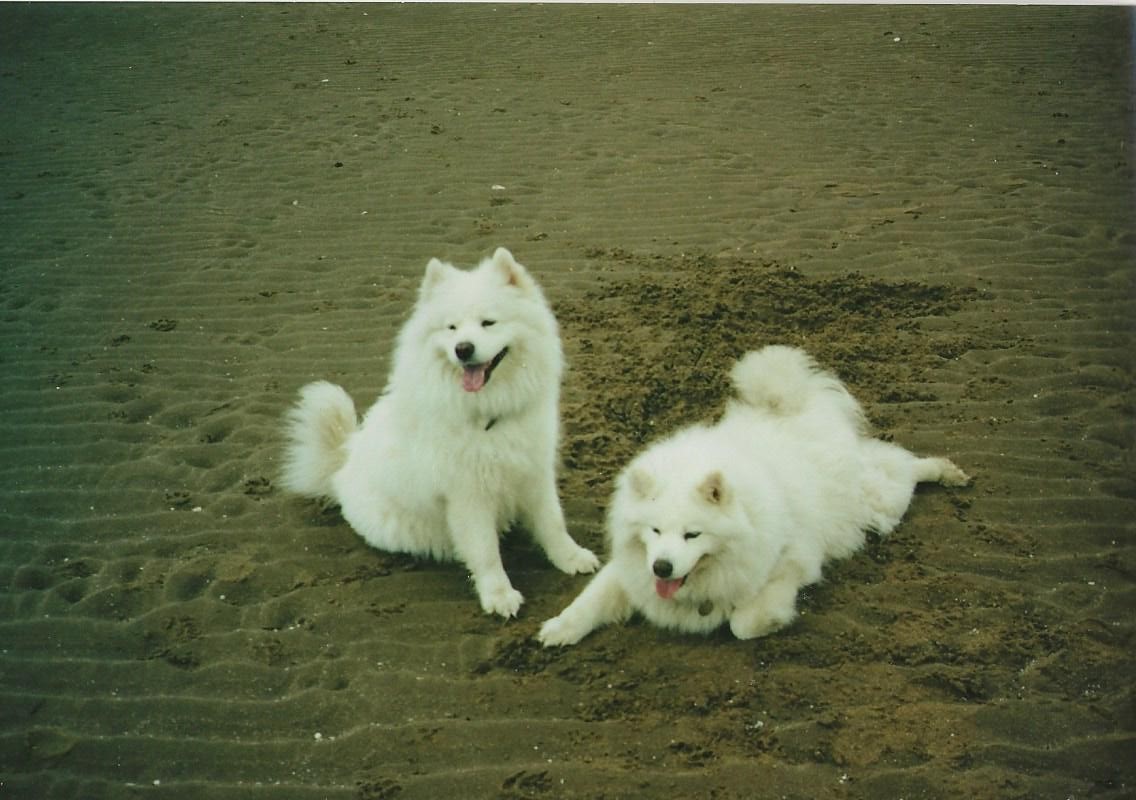 Field 1 Image